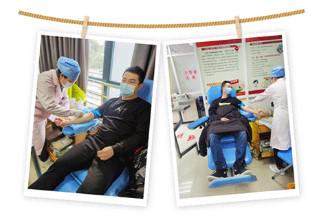 Z6·尊龙凯时「中国区」官方网站